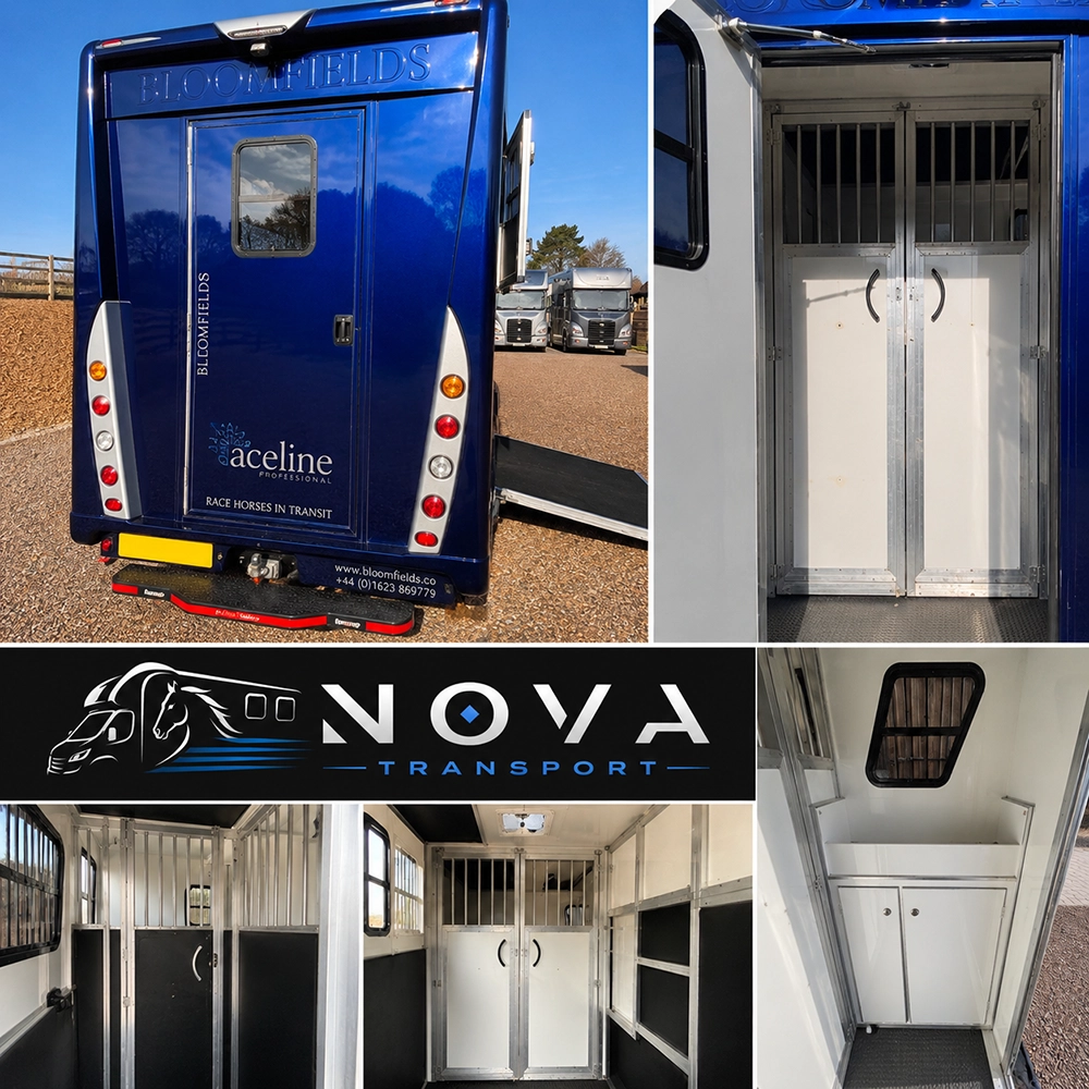 Padded interior of Nova Transport 3.5 tonne horsebox
